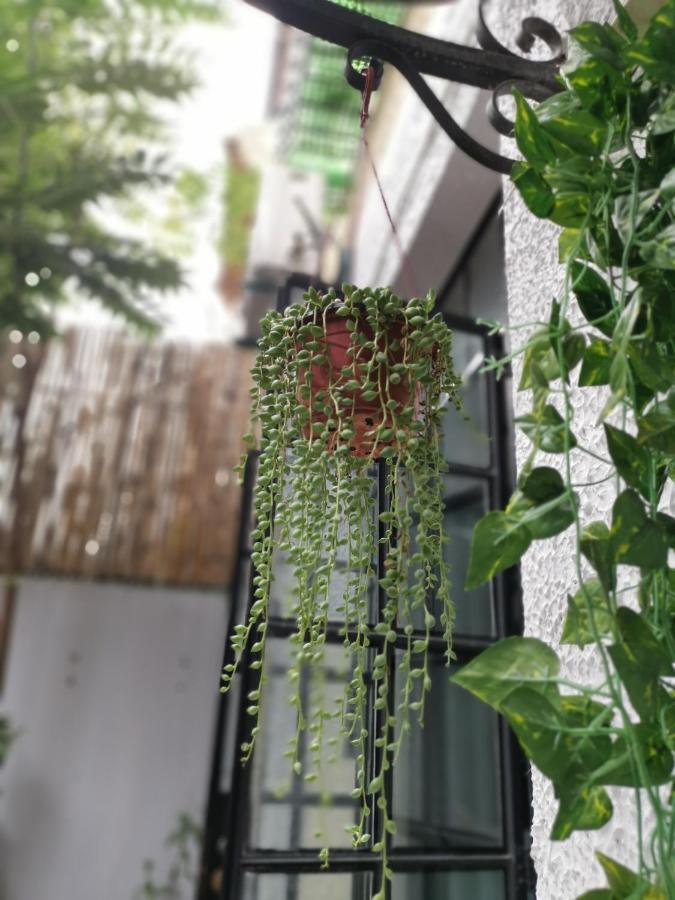 林人酒店 Jingan Esterno foto